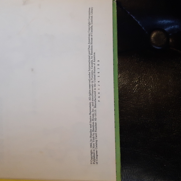 1962 The Big Honey Hunt by Stanley & Janice Berenstain - Picture 9 of 9